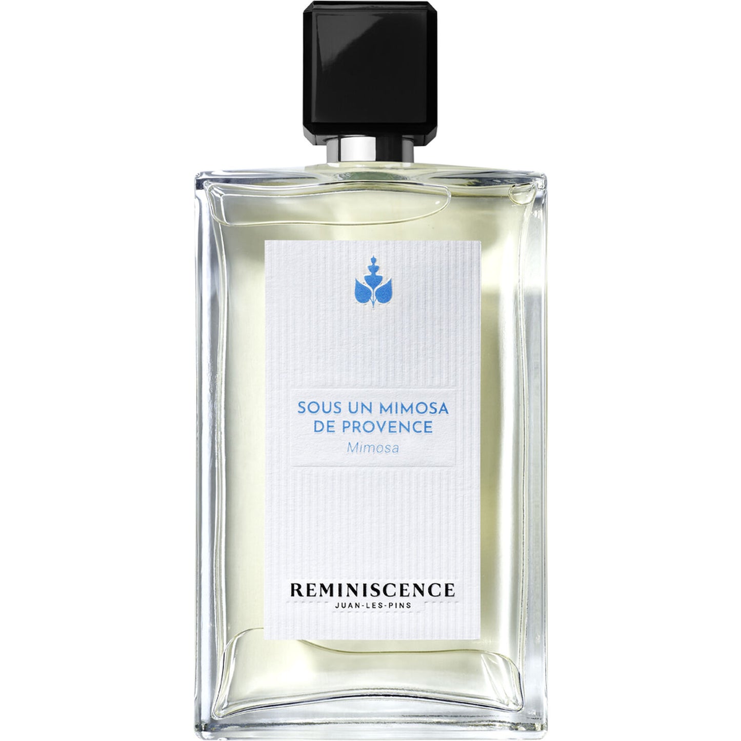Reminiscence Sous Un Mimosa De Provence EDT Intense 100 ml