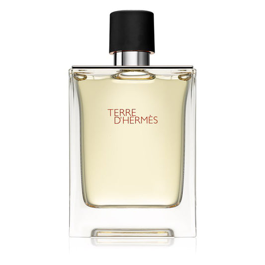 Hermes Terre D Hermes Eau De Toilette 100ml